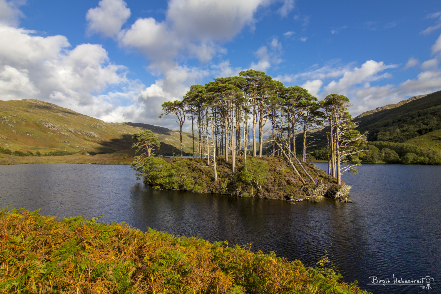 Insel im Loch Eilt