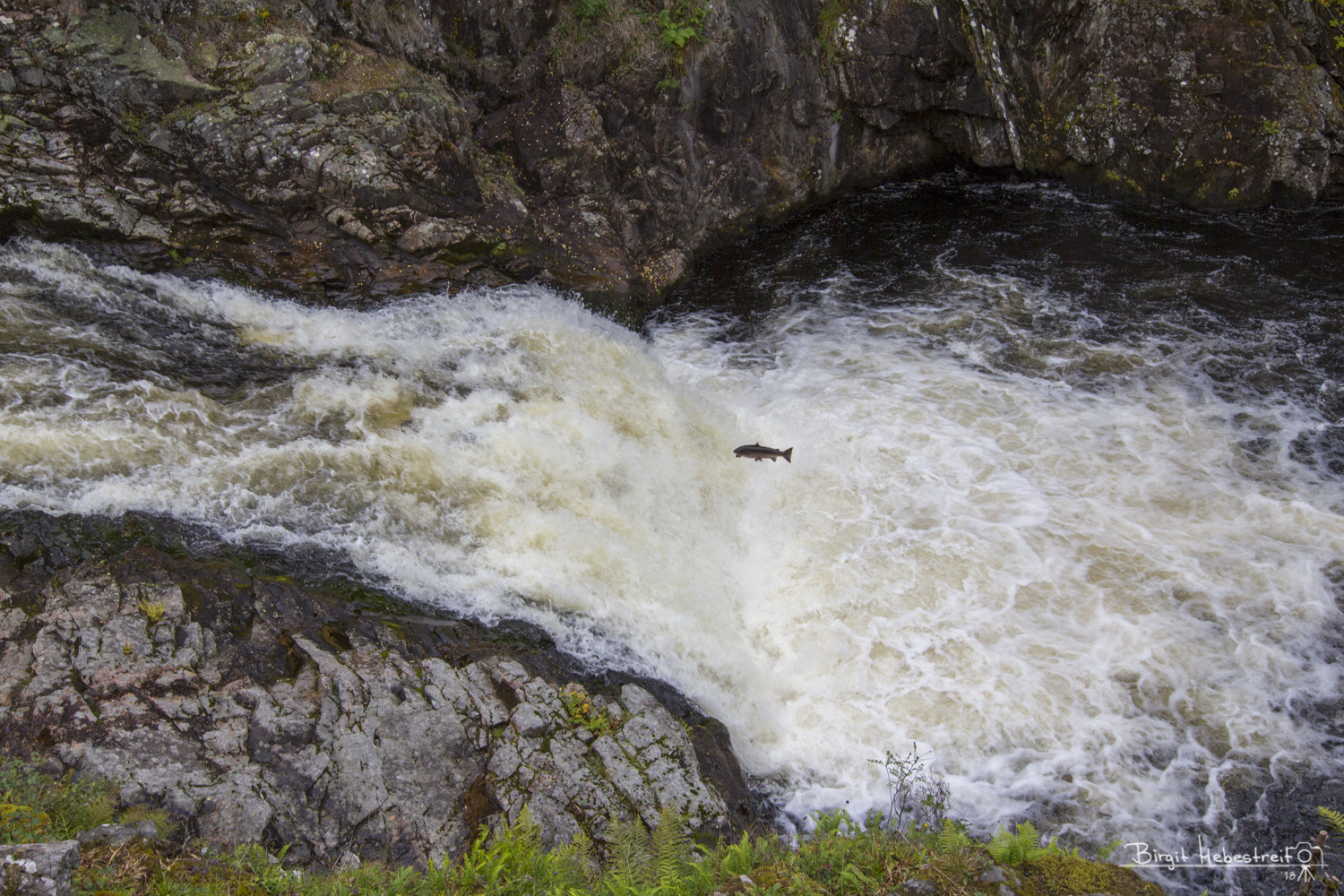 Lachstreppen Falls of Shin