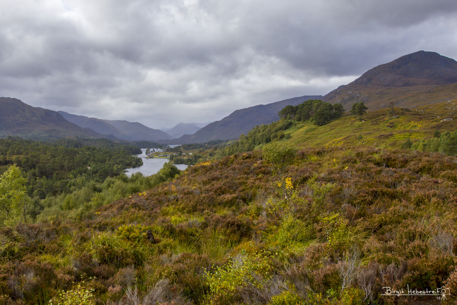 Aussichtspunkt Glen Affric