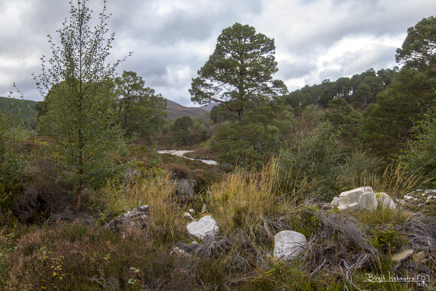 Wanderung im Cairngorms Nationalpark ...