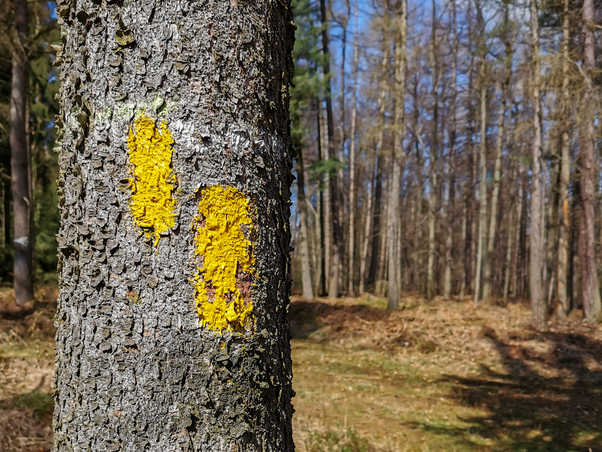 Markierung