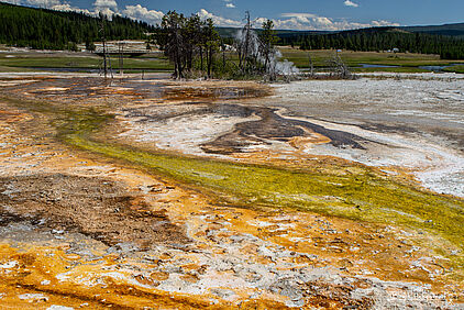 Midway Geyser Basin