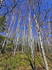 Farbkontraste