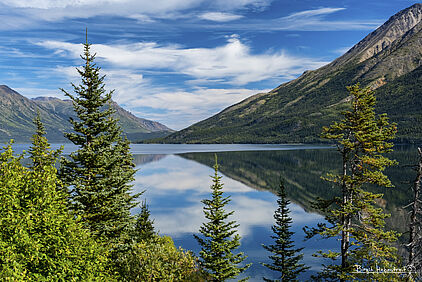 Spiegelungen im Tutshi Lake