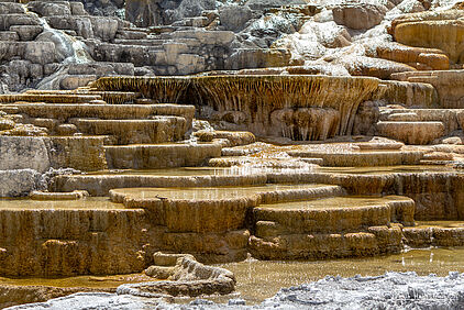 Palette Spring