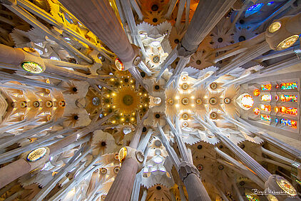die Decke der Sagrada Familia