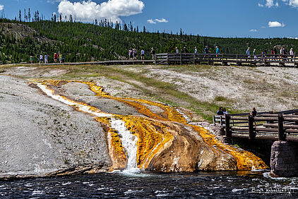 Yellowstone NP