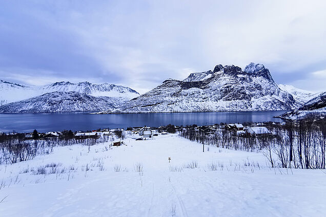 Blick zurück auf den Ørnfjord