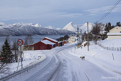 Canon 60D, Brennweite 35 mm, 1/250 sek bei f 6,3, ISO 100