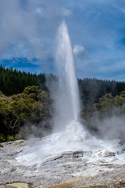 Lady Knox Geysir