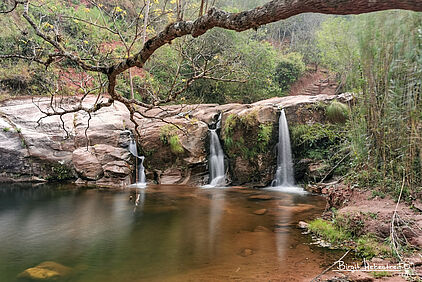 im Amboro Nationalpark