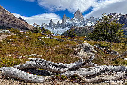 Fitz Roy