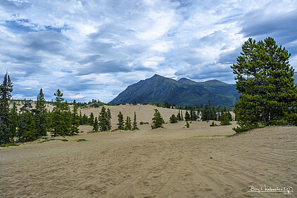 das Carcross Desert 