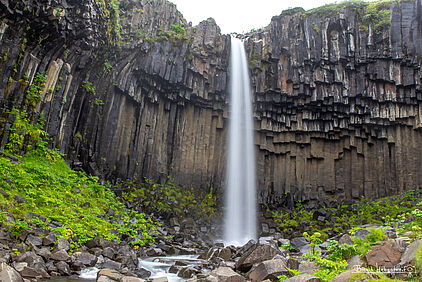 Svartifoss