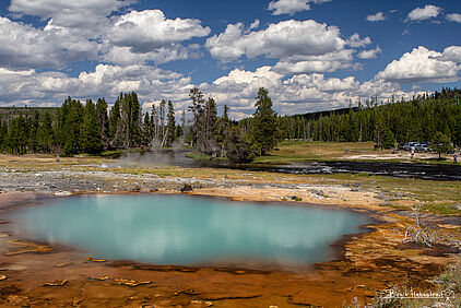Black Opal Pool, Yellowstone NP