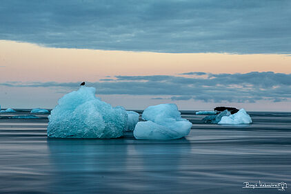 an der Jökulsárlón Gletscher Lagune