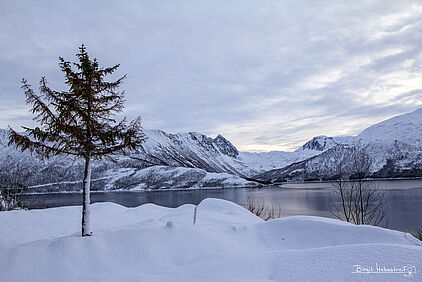 Canon 60D, Brennweite 16 mm, 1/200 sek bei f 7,1, ISO 100