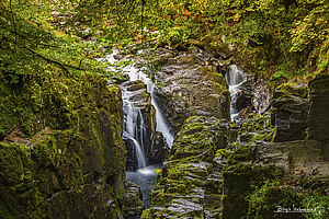 the Hermitage