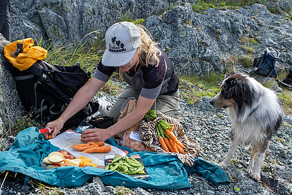 und ein tolles Picknick