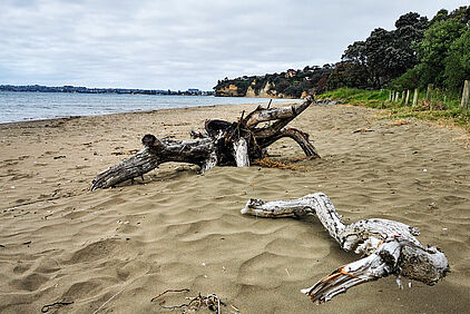 Strand