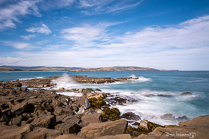 Curio Bay Cliffs