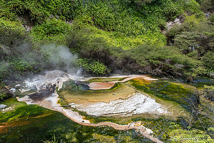 im Waimangu Volcanic Valley