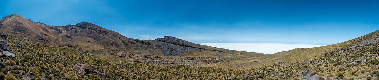 Salar