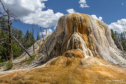 Orange Spring Mound