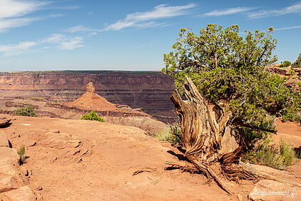 Canyonlands NP