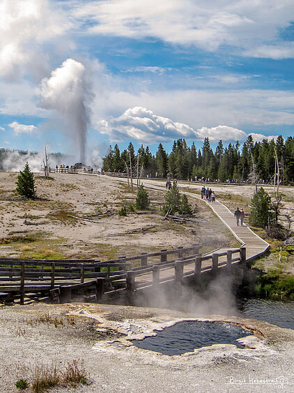 Yellowstone NP