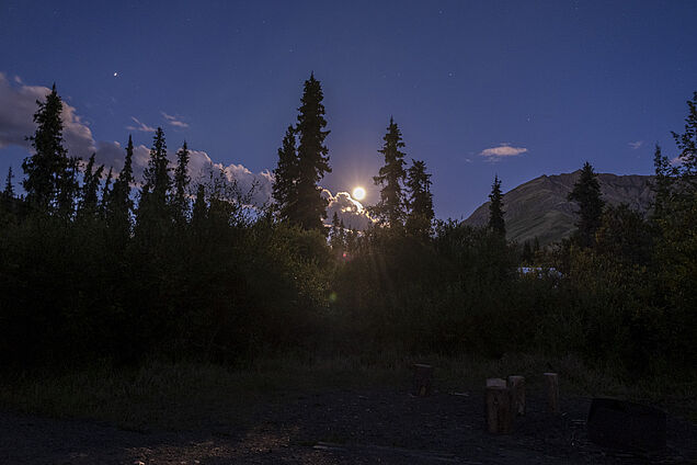 Mond