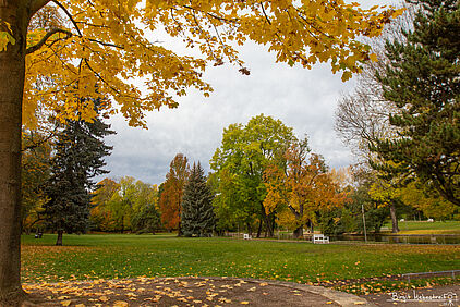 im Weimarhallenpark