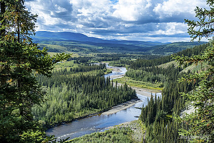 Chicken, Alaska
