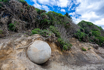Moeraki Boulder