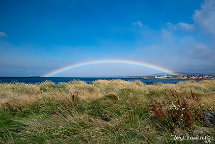 Regenbogen