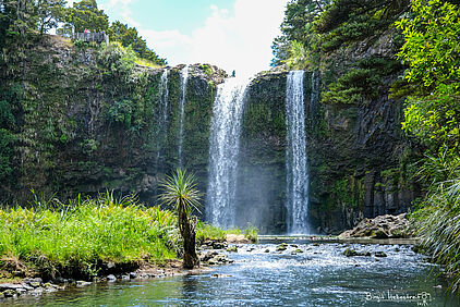 Whangarei-Falls