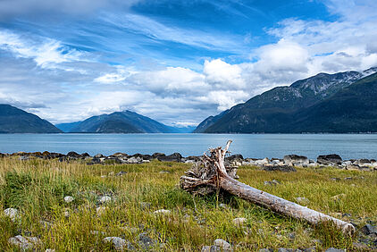 das Chilikoot Inlet