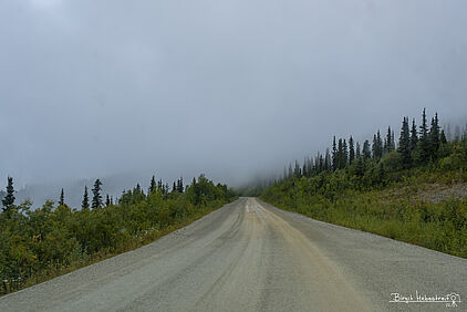 Nebel auf dem Top of the World Highway