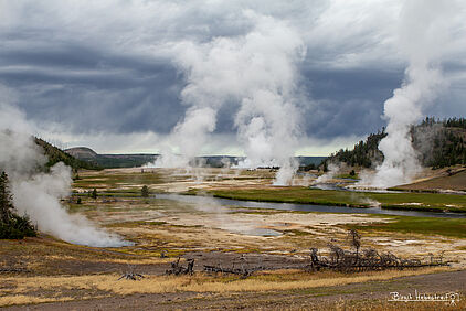 Yellowstone NP