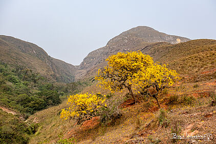 im Amboro Nationalpark