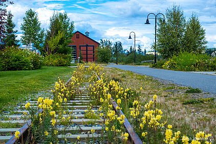 der alte Bahnhof in Whitehorse