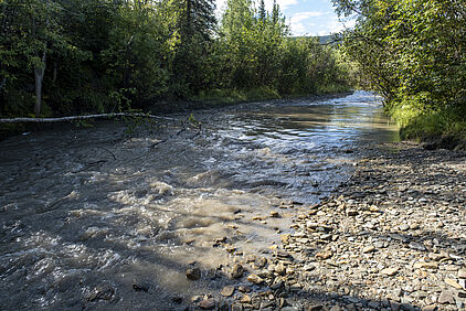 der Bonanza Creek