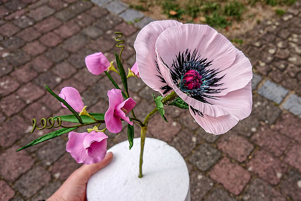 Mohnblume mit Wicken