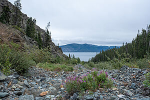 Blick vom Williscroft Canyon zum Kluane Lake