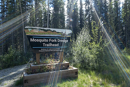 der Mosquito-Trail