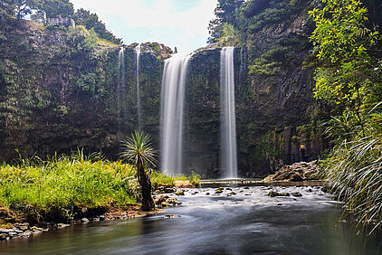 Whangarei-Falls
