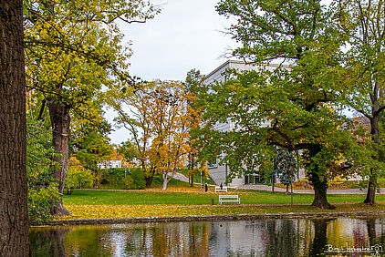 Bauhausmuseum