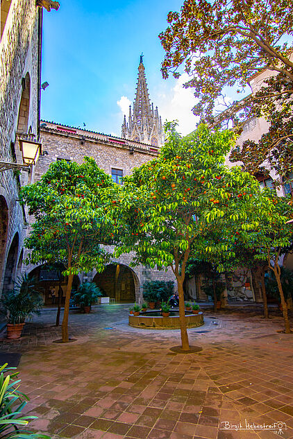 ein Innenhof mit Kathedrale
