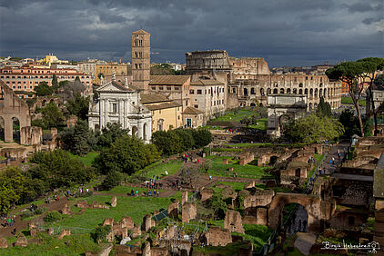 Blick vom Palatin ins Forum Romanum