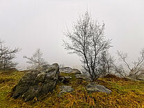 keine Fernsicht auf dem Hohen Schneeberg